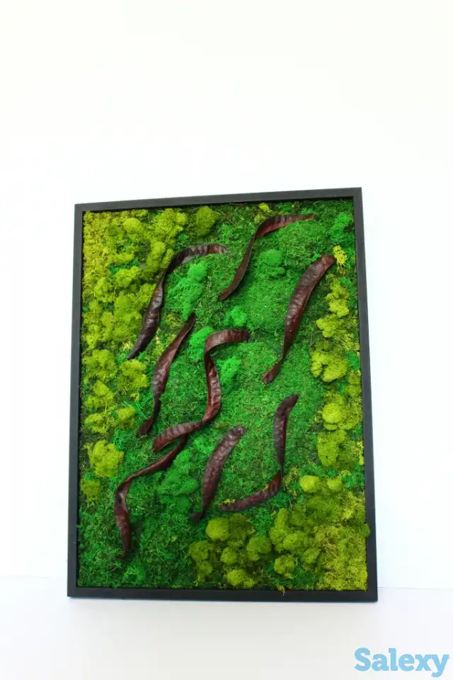 Картины из стабилизированного мха, фотография 6