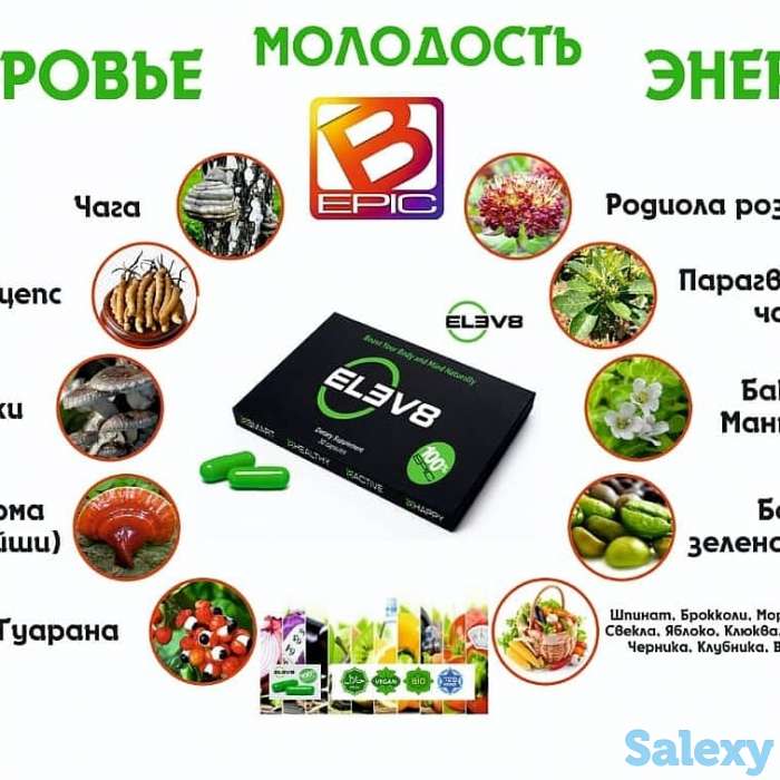 Бизнес с автобусом, фотография 6