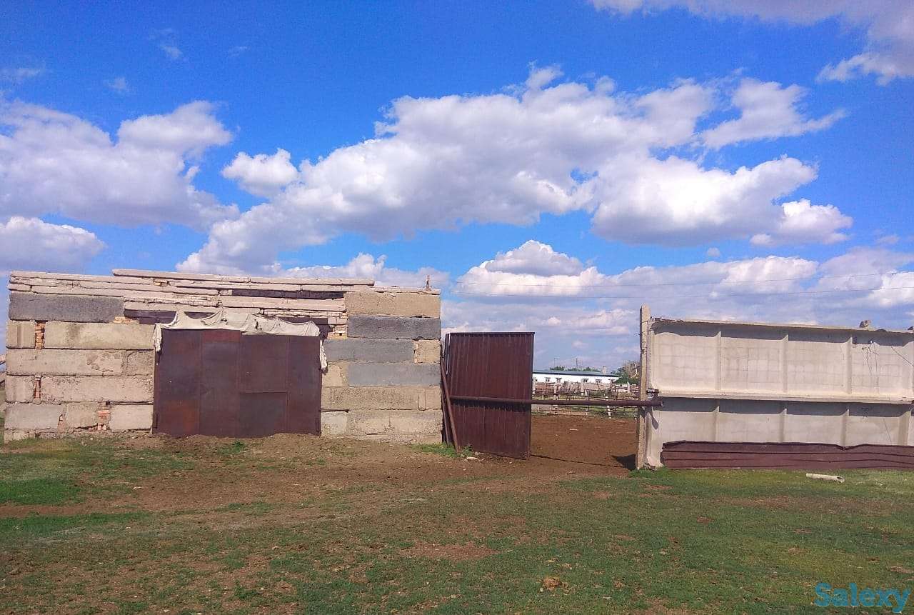 Крестьянское хозяйство, Карагандинская область, Осакаровский район, сАманконыр (с Дальнее), фотография 2