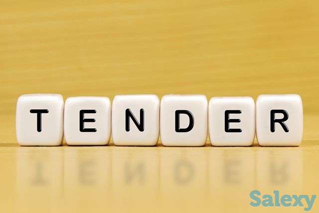 Сопровождение тендеров, фотография 1