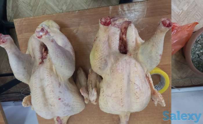 Мясо индейки (индейка, индюк), фотография 2