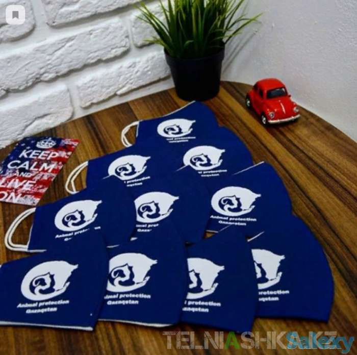 Принты на одежду, логотип на одежду, печать на футболках, кружки, бейсболки, доставка по всему Казахстану, фотография 3