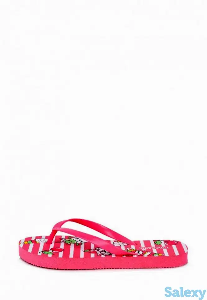 Сланцы t.taccardi, фотография 2