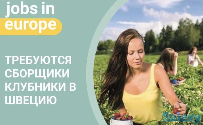 Работа в Польше, работа в Европе, виза в Польшу, фотография 3