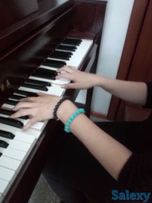 Репетитор по сольфеджио и фортепиано, фотография 2