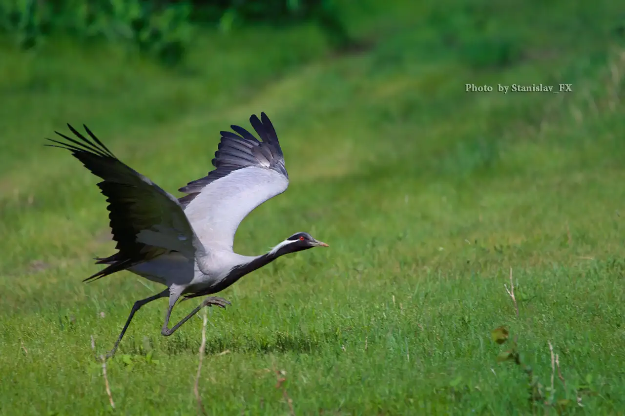 Фото и Видеосъёмка, фотография 12