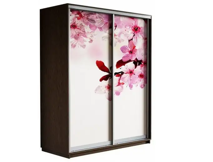 Шкаф купе из темного дерева с стеклянным фасадом в виде вишневой сакуры бу, фотография 1