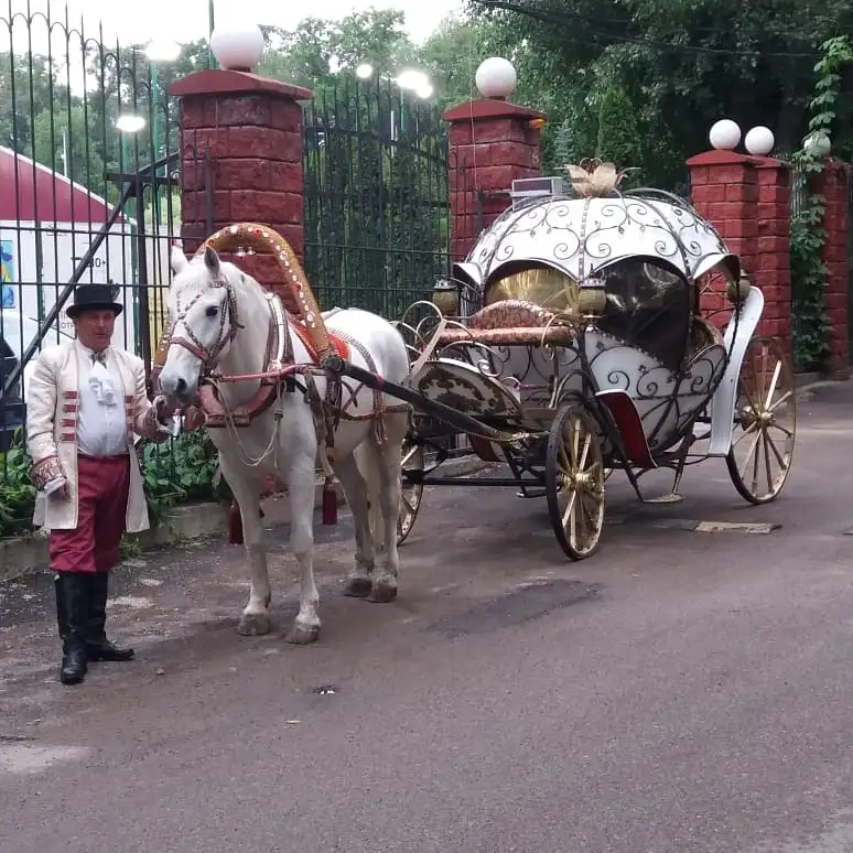 аренда кареты, фотография 9