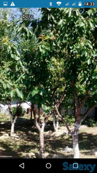 продам дом, мкр.Альмерек, фотография 5