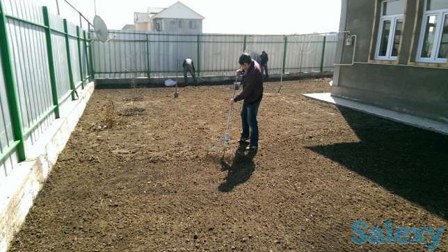 посадка газона, фотография 3