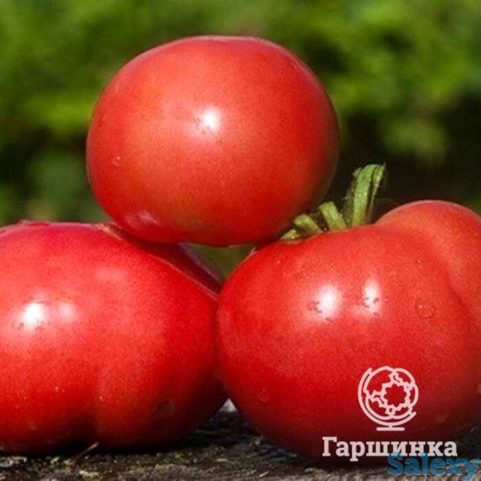 Семена Томат Василина 20 шт, фотография 1