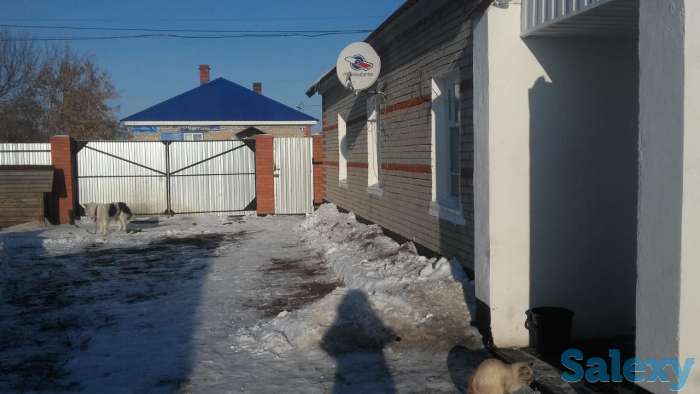 Продам дом в п.Береговое, фотография 6