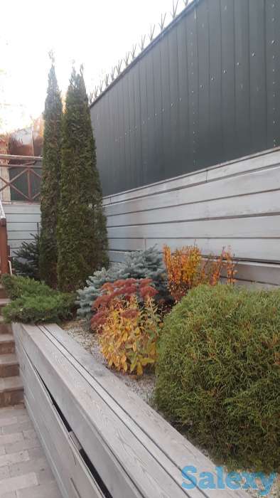 Профессиональный ландшафтный дизайн в Алматы!, фотография 2