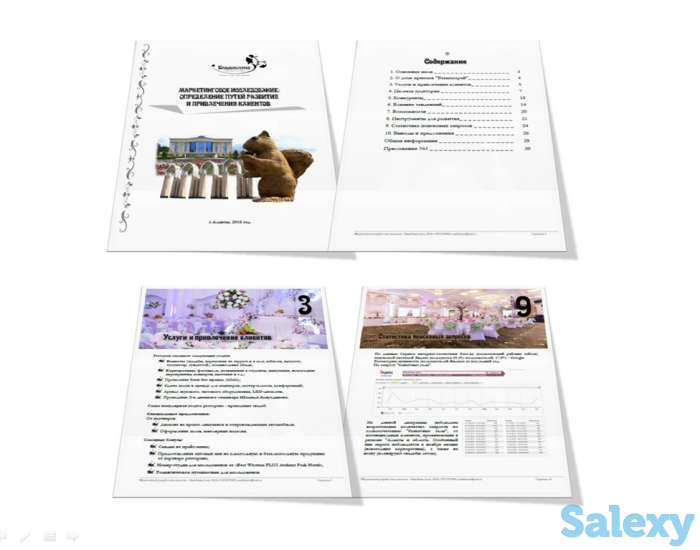 Маркетинговые исследования или анализ бизнеса, фотография 5