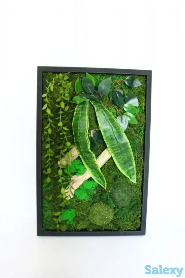 Картины из стабилизированного мха, фотография 1