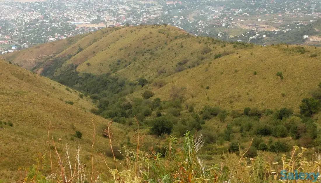 Продам дача, Коклайсай, фотография 1