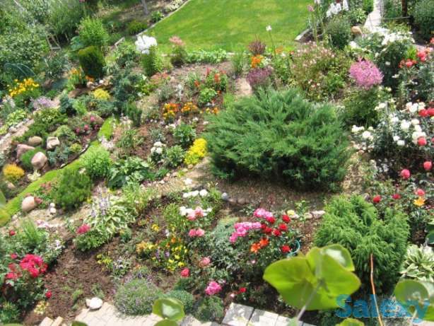 ремонт восстановление газона, фотография 9