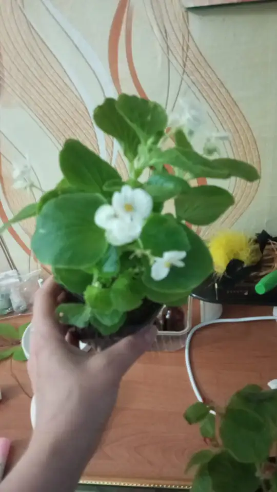 Ищу работу, фотография 1