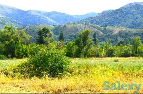 Продаются земельных участки по Каскеленской трассе г.Алматы., фотография 1
