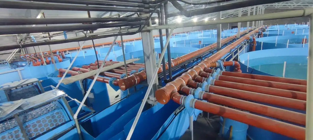 Проектирование, строительство, монтаж Установки Замкнутого Водоснабжения УЗВ, фотография 8