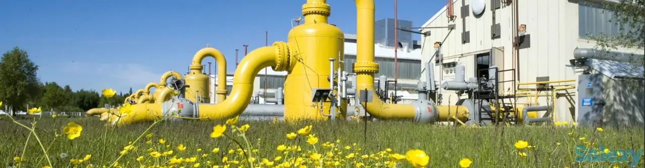 Проект СЗЗ (санитарно-защитной зоны), фотография 1