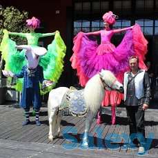 лошади, пони, катание, прокат, фотография 5