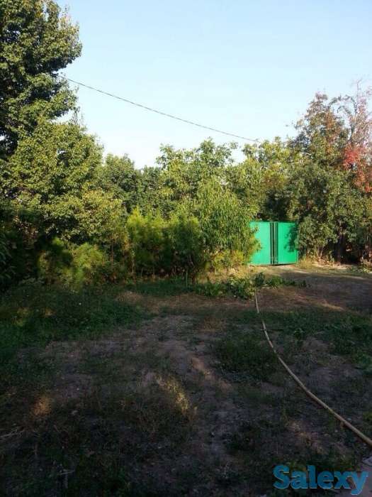 Продам дачу 6-7 соток, Алматинская обл., фотография 4