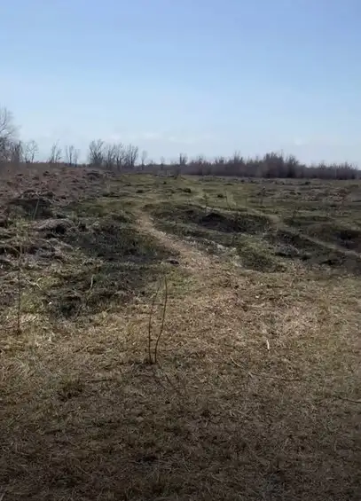 продажа земли КХ под фермерское хозяйство, Алматинская обл, пос Еламан, фотография 1