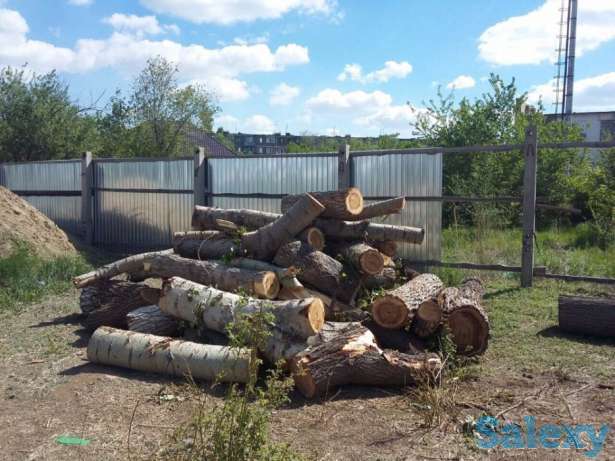 Продам дрова, фотография 1