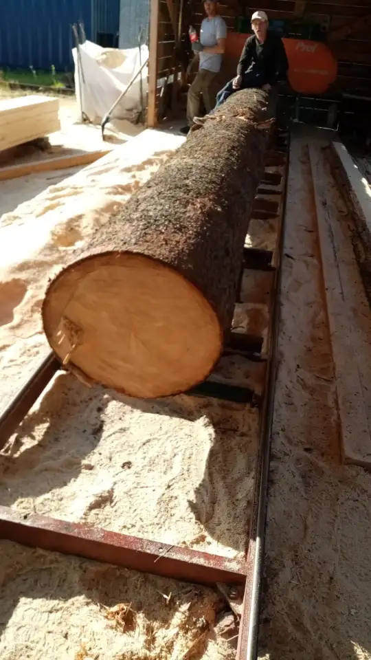 Работа в РФ на пилораме, фотография 1