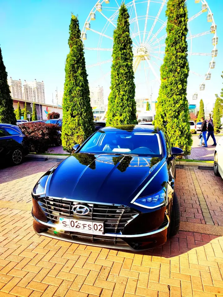 Трансфер, фотография 1