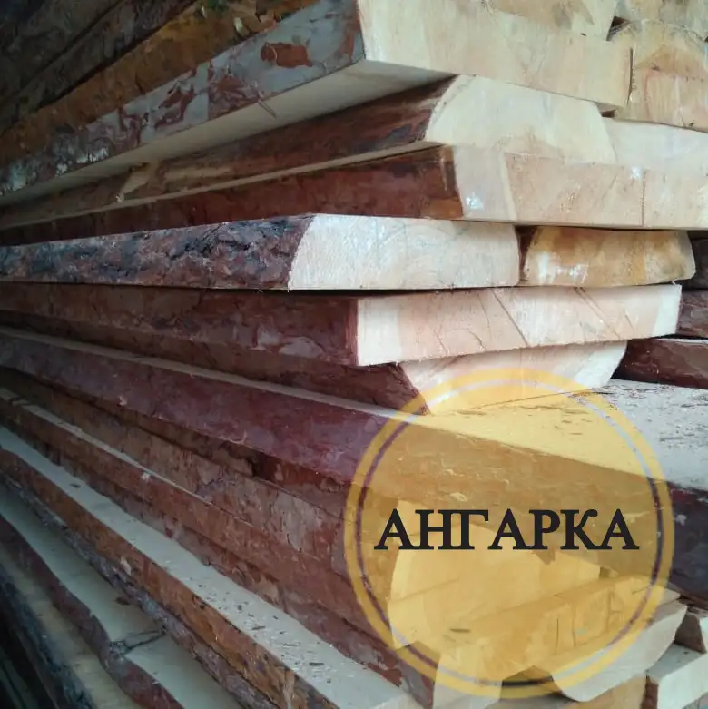 Лиственница ангарская сухая, фотография 1