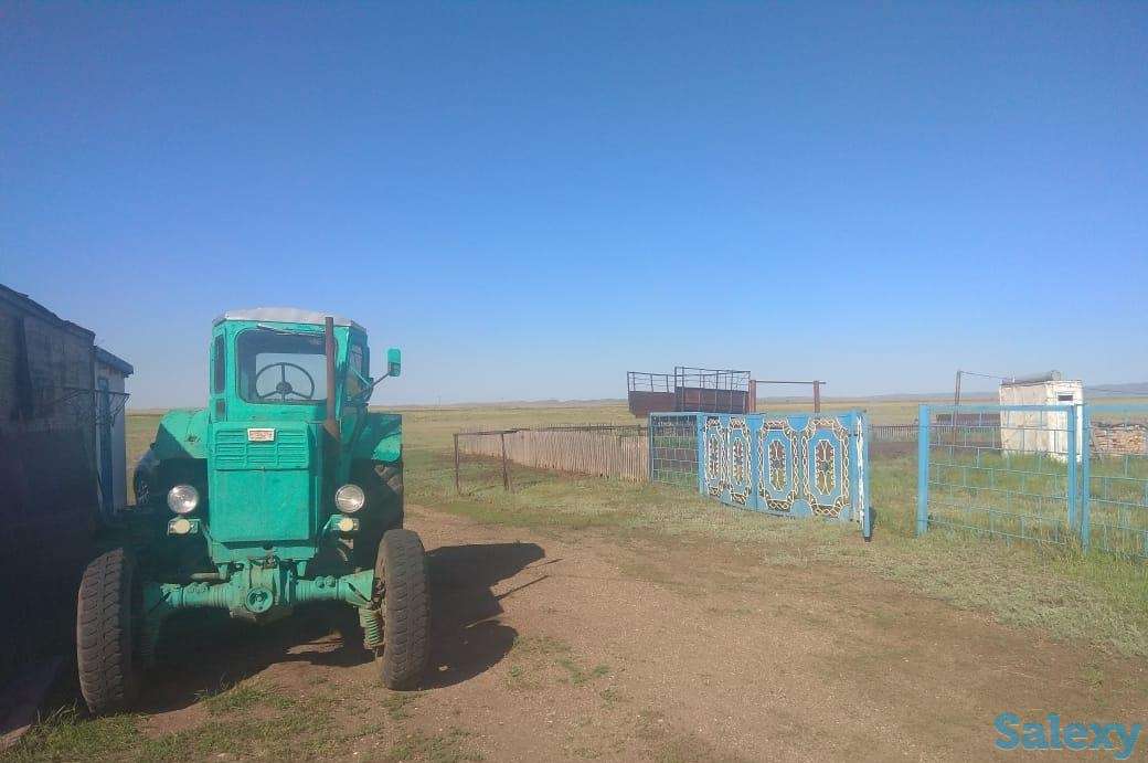 Крестьянское хозяйство, Карагандинская область, Осакаровский район, сАманконыр (с Дальнее), фотография 6