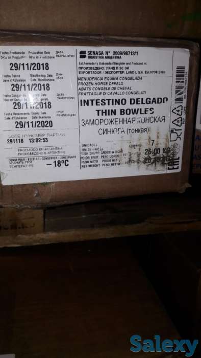 Черева конская для Казы, фотография 5