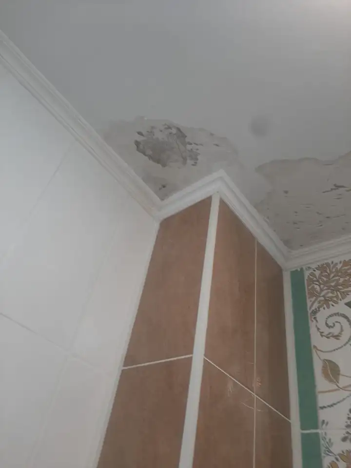 Удаление пятен на потолке 100 гарантия, фотография 1