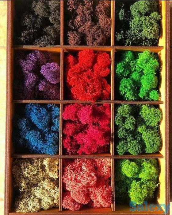 Озеленение интерьеров, фотография 1