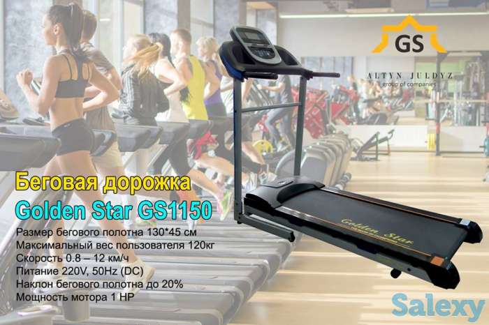 Беговая дорожка Golden star GS 1150, фотография 1