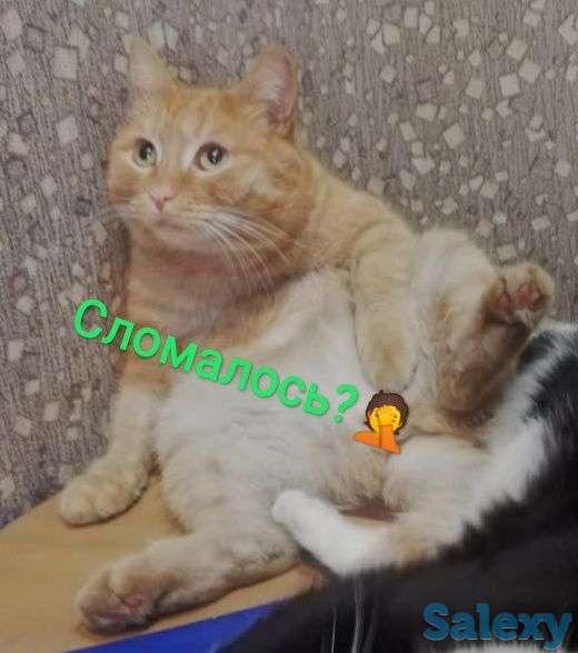 Ремонт кухонного оборудования, фотография 1