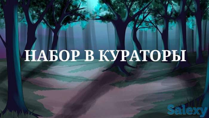 Куратор в онлайн школу, фотография 1