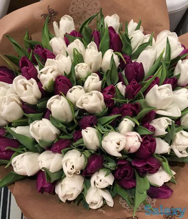 Продам тюльпаны красивые к 8 марта, фотография 1