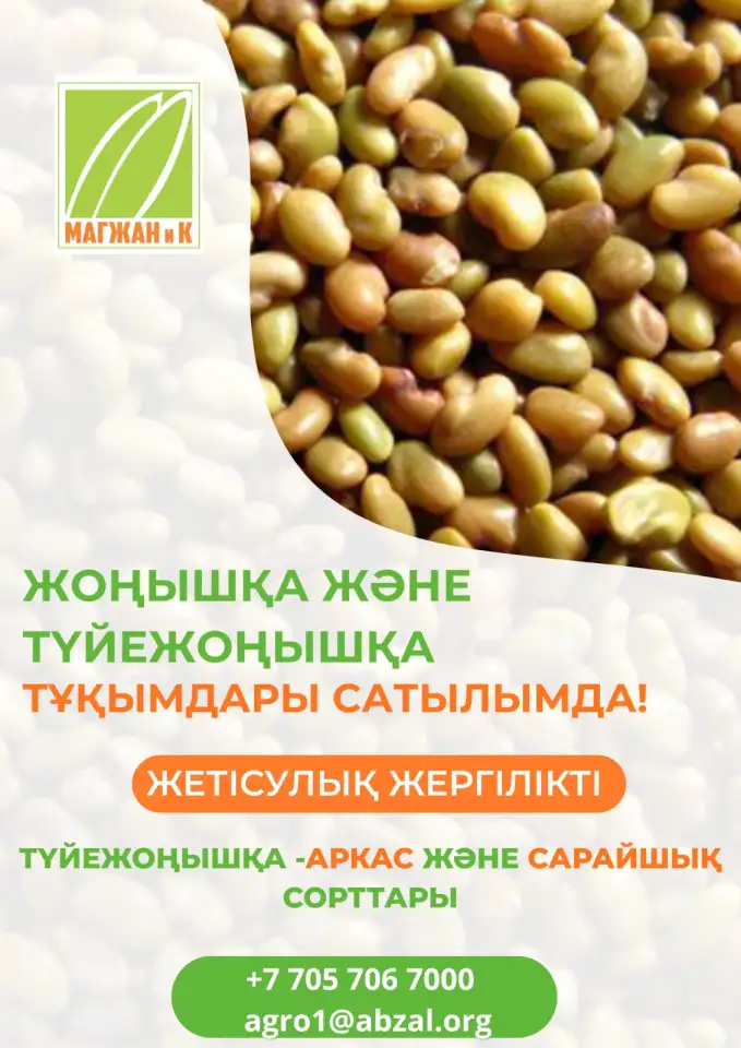 Компанияны негзг ндылыы  ондаан жылдар бойы жинаталан ерекше блм мен тжрибе, сапалы нм ндруде, фотография 6