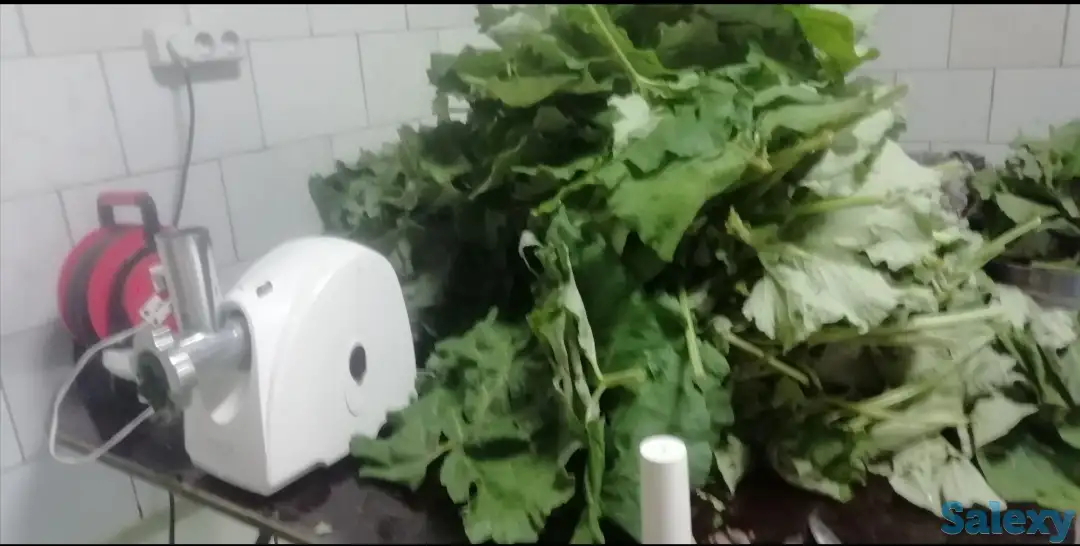 майский свежевыжитый сок лопуха, фотография 3