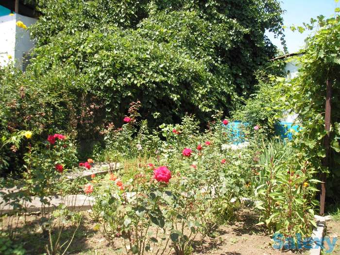 Продажа дачи, н.п Райымбек в 5 км.  от , фотография 7