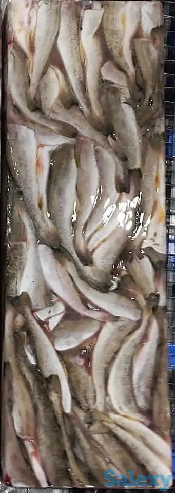 Рыба св.мороженная во Владивостоке., фотография 4