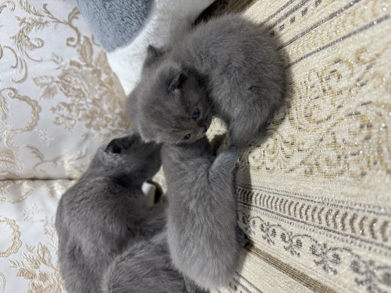 pavlenko100495icloud.com, фотография 7