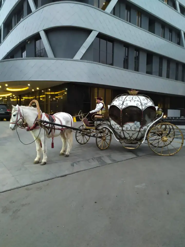 Профессиональный ведущий, тамада, фотография 6