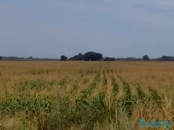 Продается участок к/х 25га, Алматинская область,Енбекшиказахский район,с.Космос., фотография 1
