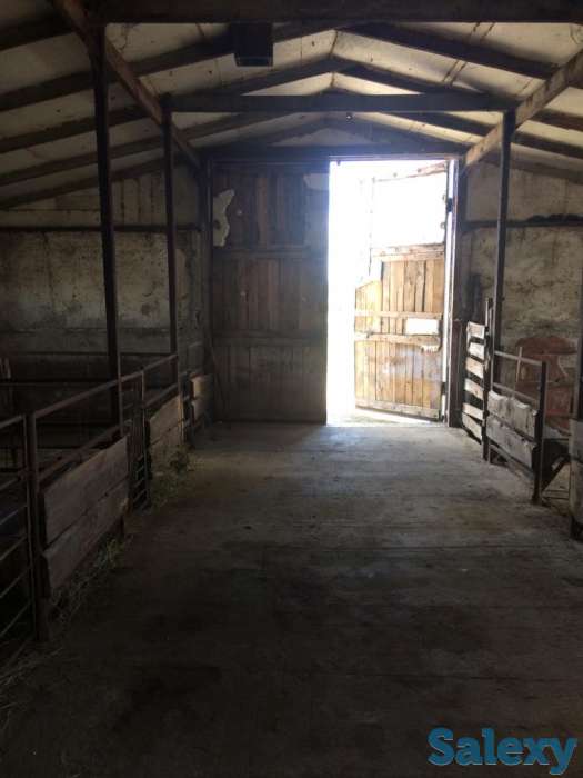 Продаётся животноводческая ферма, фотография 1