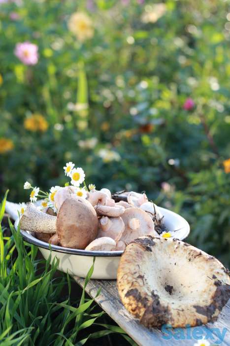 Food съемка. Предметная съемка. Съемка для ресторана, интернет магазина., фотография 2