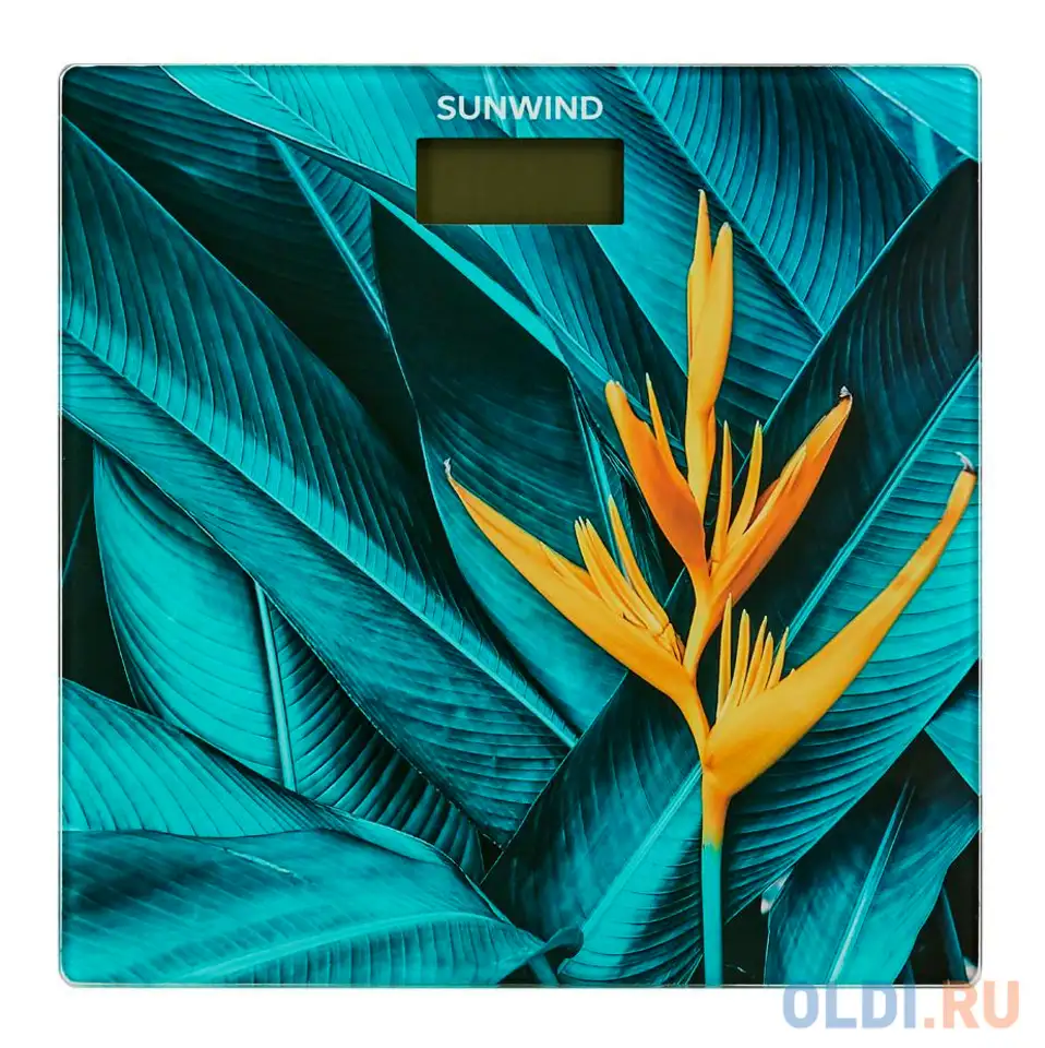 Весы напольные sunwind ssb055 рисунок, фотография 1